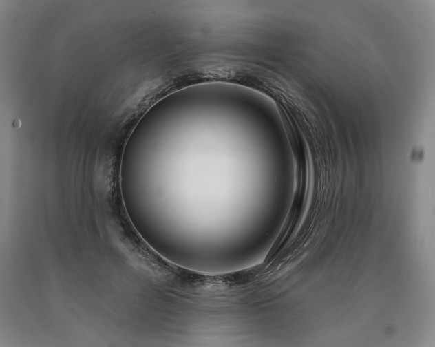 X0000090910600200707301435