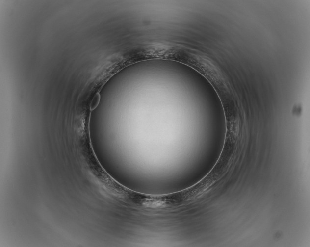 X0000090910602200707301435