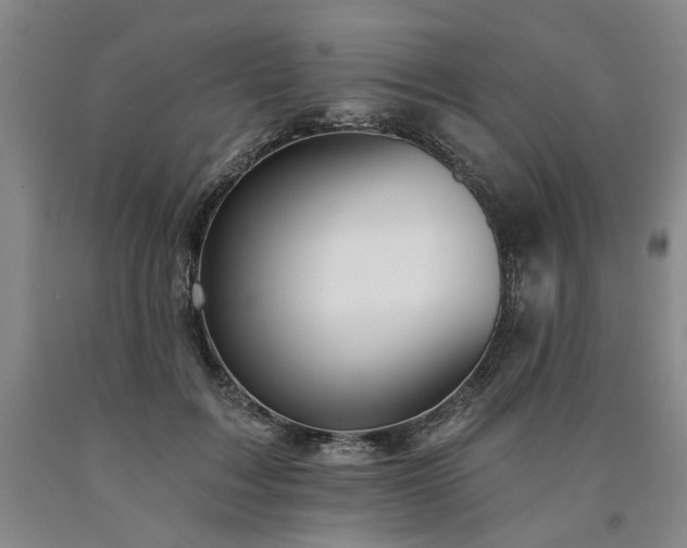 X0000090910603200707301435