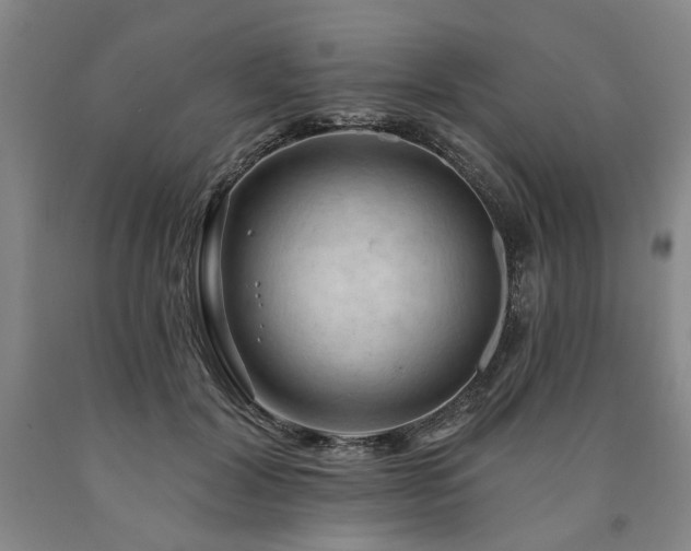 X0000090910604200707301435