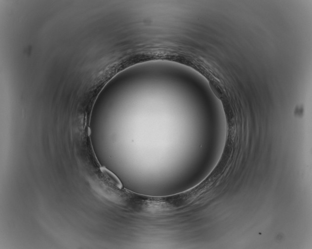 X0000090910605200707301435