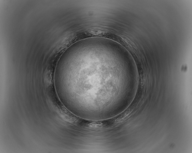 X0000090910606200707301435