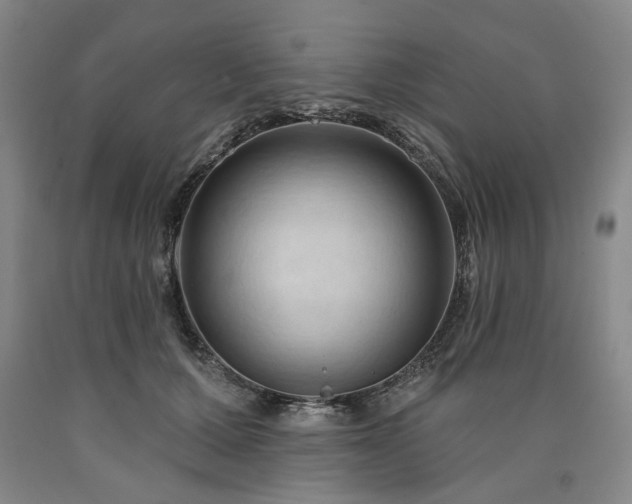 X0000090910607200707301435