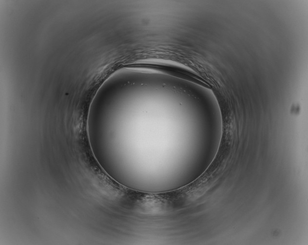 X0000090910608200707301435