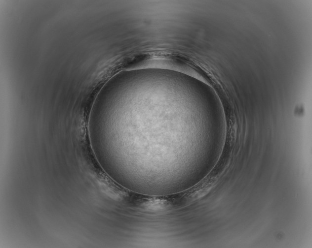 X0000090910609200707301435