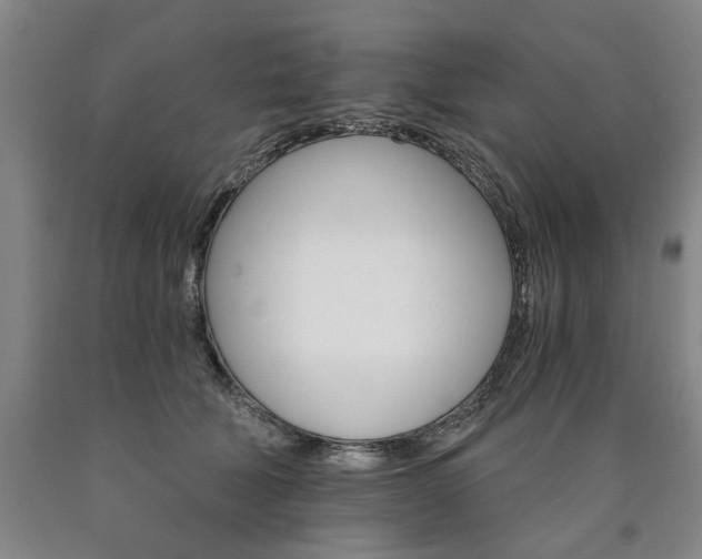 X0000090910610200707301435