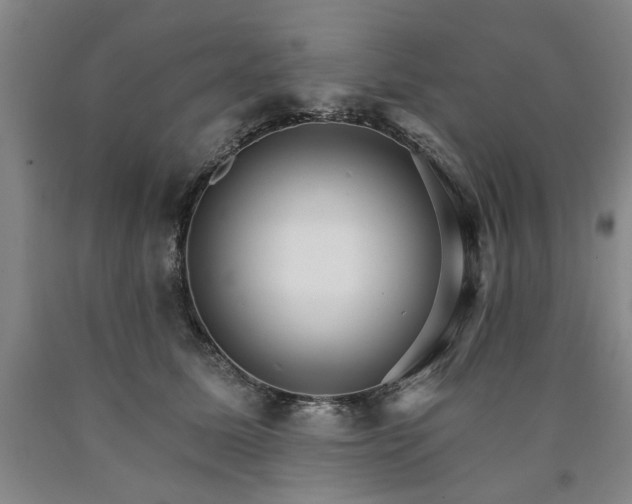 X0000090910611200707301435