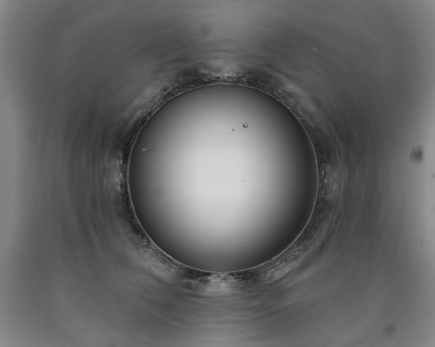 X0000090910612200707301435