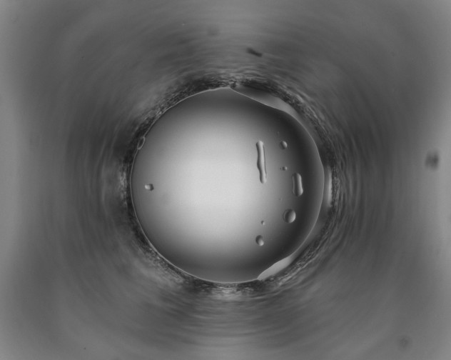 X0000090910613200707301435