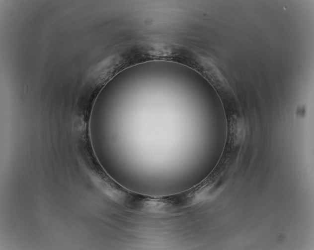 X0000090910614200707301435