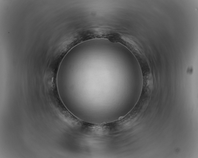 X0000090910615200707301435