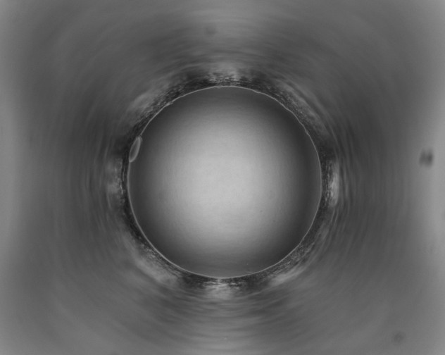 X0000090910616200707301435