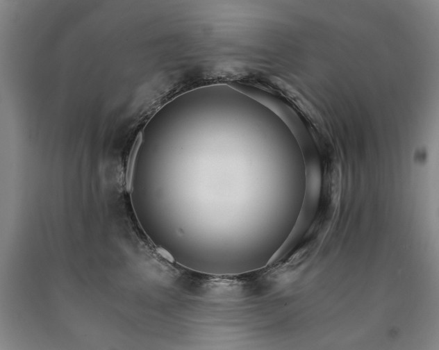 X0000090910617200707301435