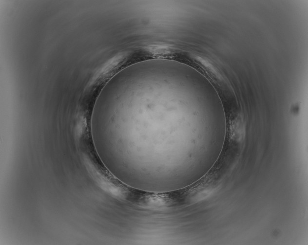 X0000090910618200707301435