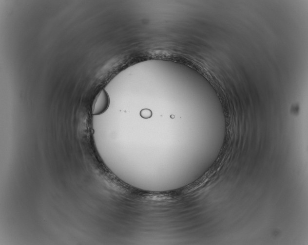 X0000090910619200707301435