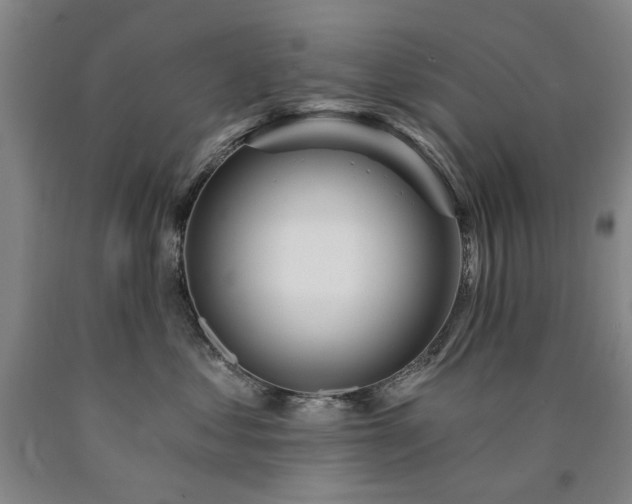 X0000090910621200707301435