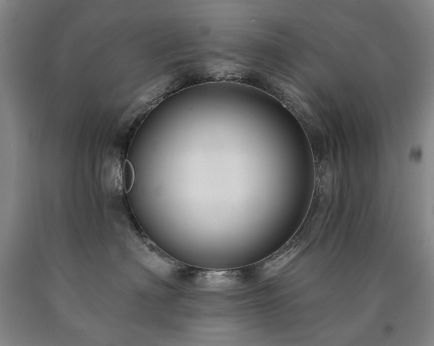 X0000090910622200707301435