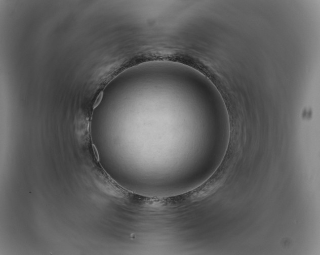 X0000090910624200707301435