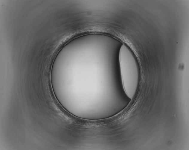 X0000090910625200707301435