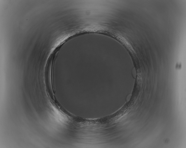 X0000090910626200707301435