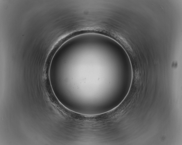 X0000090910628200707301435