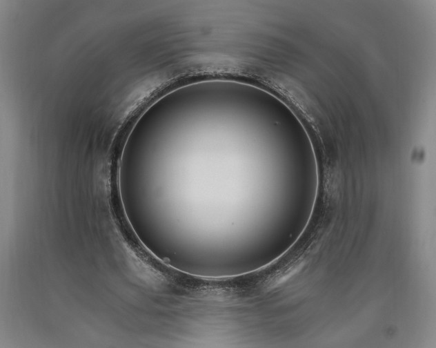 X0000090910629200707301435