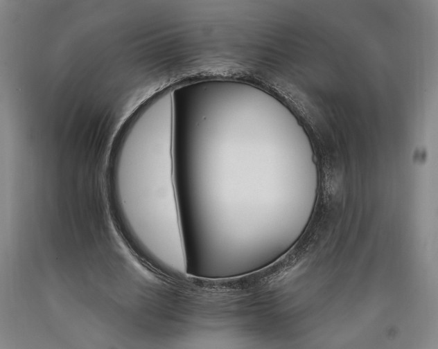 X0000090910630200707301435