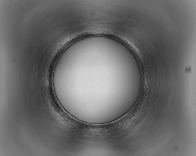 X0000090910631200707301435