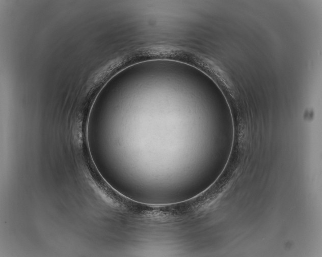 X0000090910633200707301435