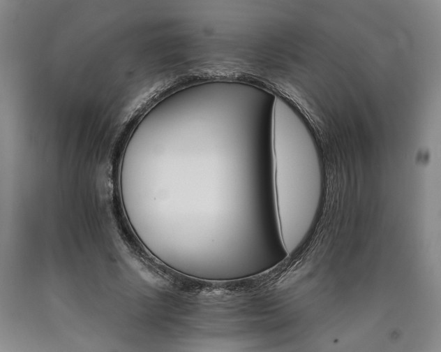 X0000090910634200707301435