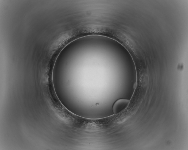 X0000090910635200707301435