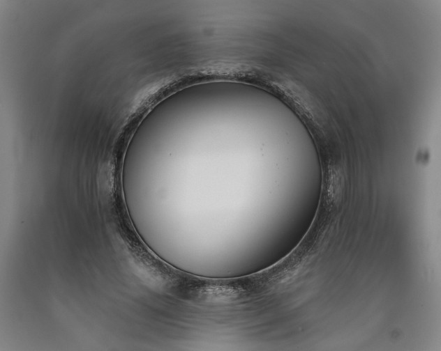 X0000090910636200707301435