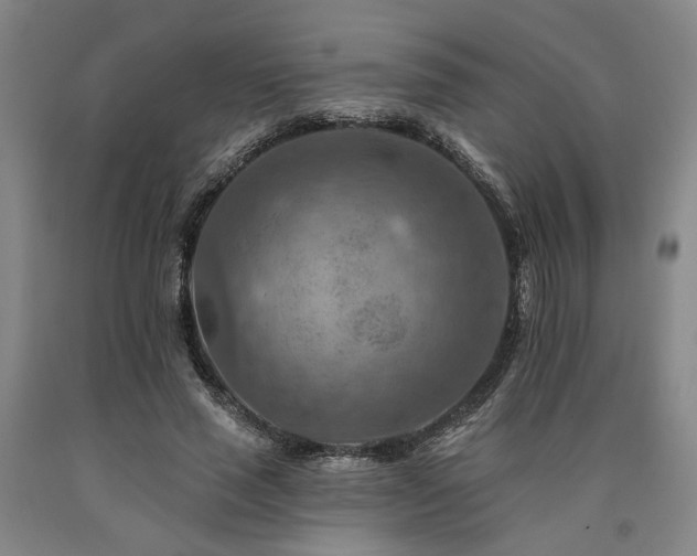 X0000090910637200707301435