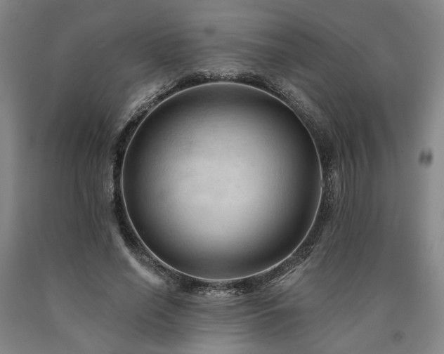 X0000090910638200707301435