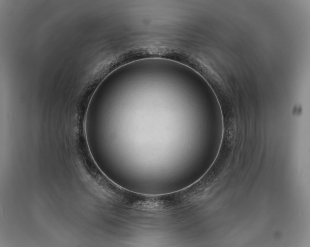 X0000090910639200707301435