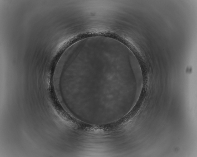 X0000090910640200707301435