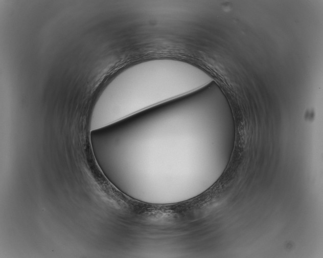 X0000090910642200707301435