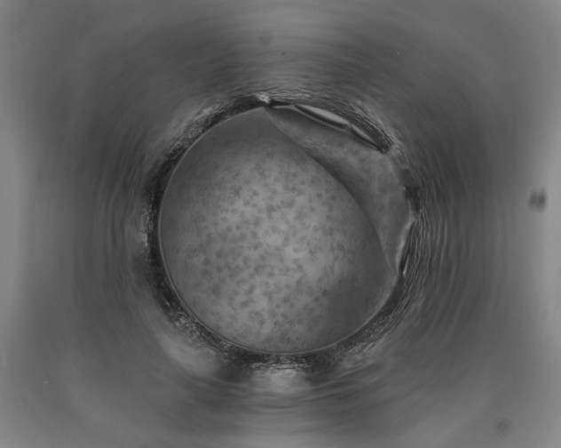 X0000090910643200707301435