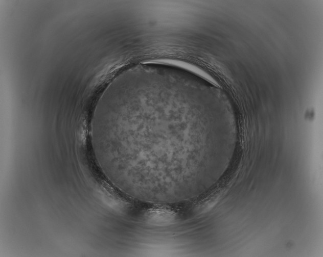 X0000090910644200707301435