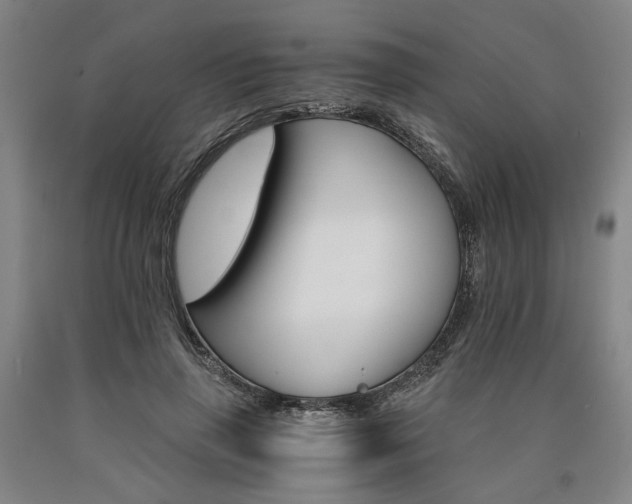 X0000090910645200707301435