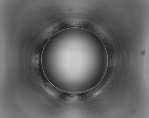 X0000090910646200707301435