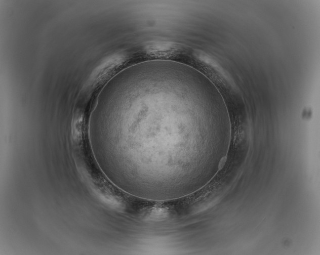 X0000090910647200707301435