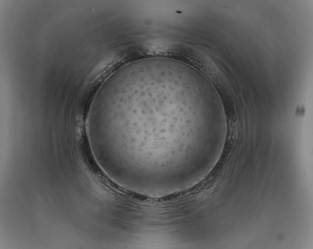 X0000090910648200707301435