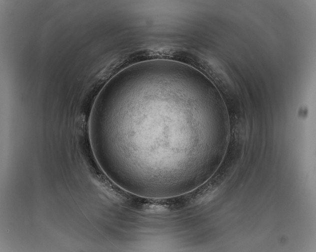 X0000090910649200707301435