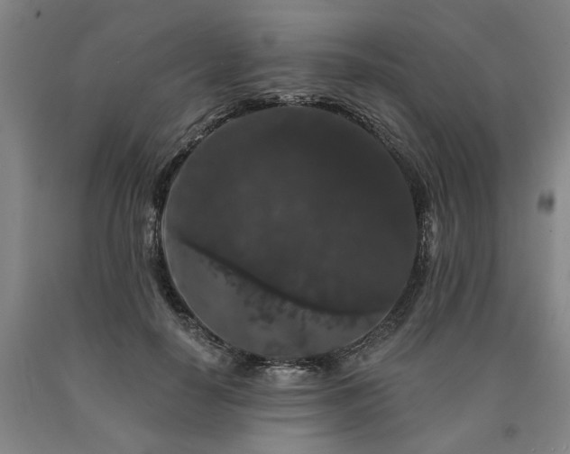 X0000090910650200707301435