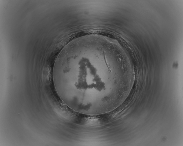 X0000090910651200707301435