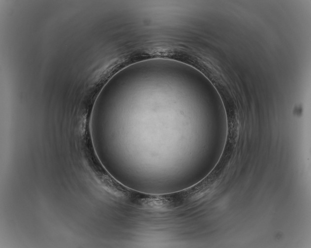 X0000090910652200707301435