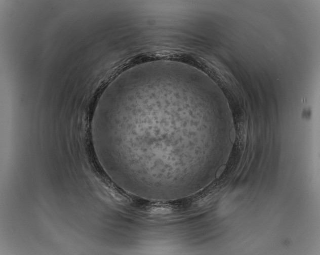 X0000090910653200707301435