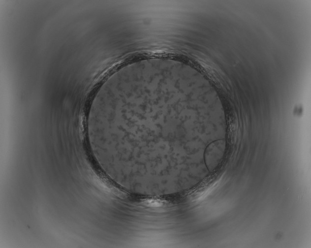 X0000090910654200707301435