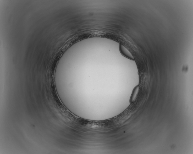 X0000090910655200707301435